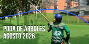 Como parte de las acciones de mantenimiento del arbolado urbano, durante el mes de agosto estaremos prestando el servicio de poda de árboles en diferentes barrios de la localidad de Suba.