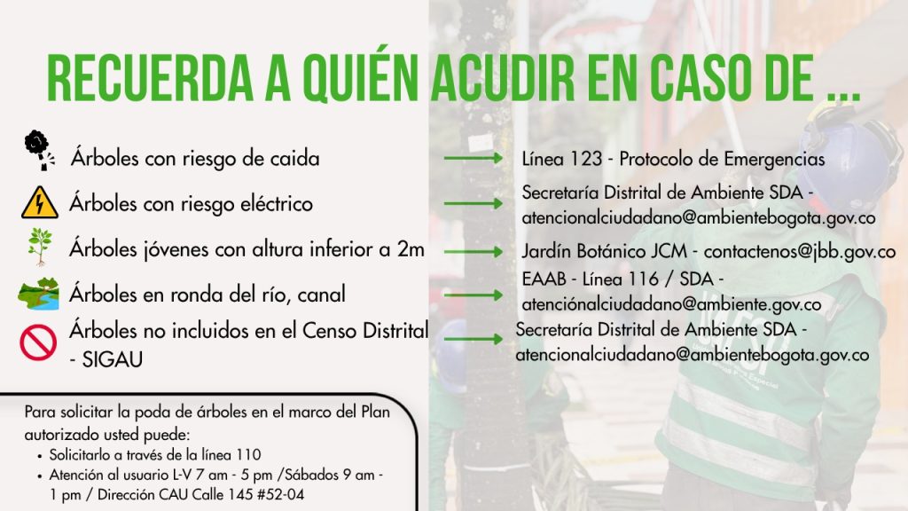 Durante el mes de agosto continuaremos desarrollando las jornadas del servicio de poda de árboles en diferentes sectores de la localidad de Suba.